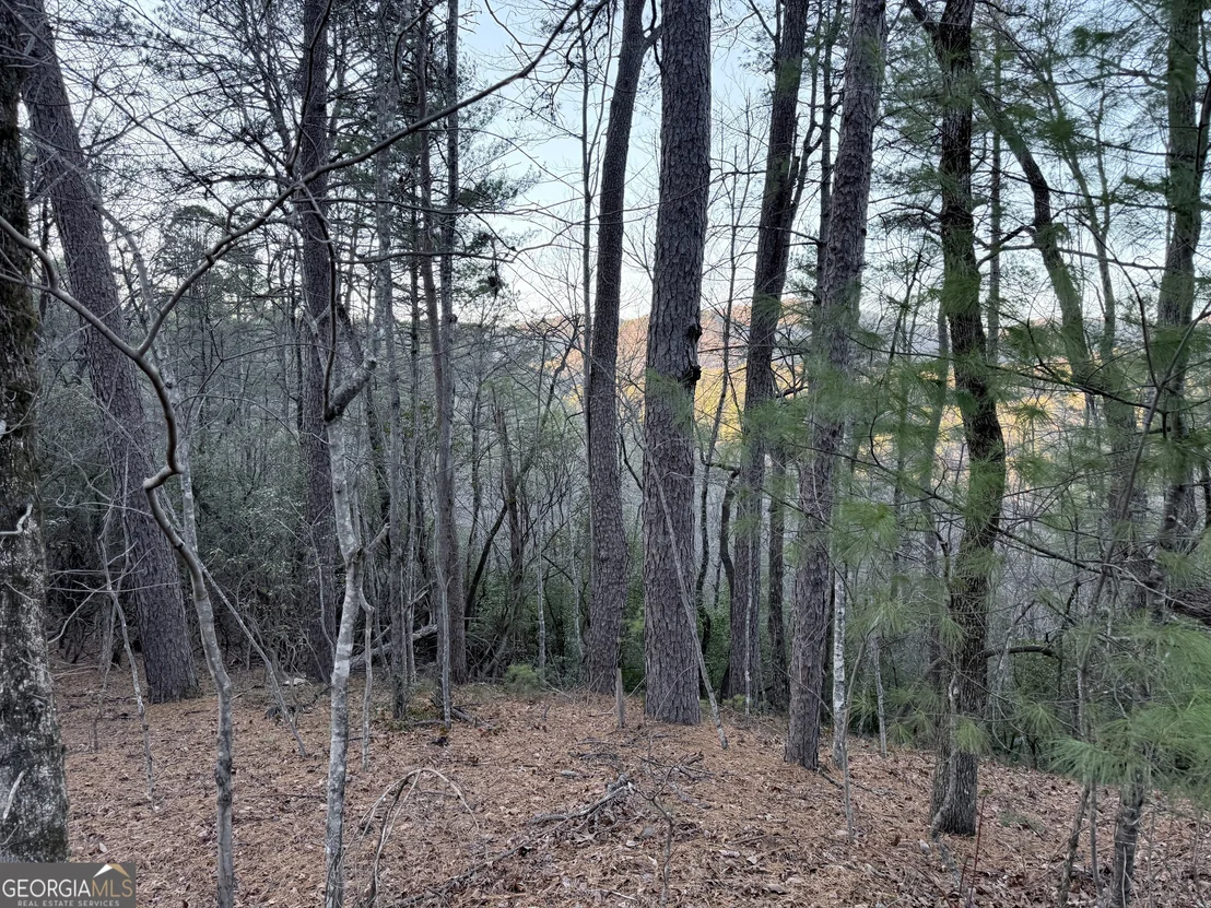 Photo of 0 Timber Bluff Drive