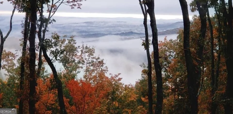Photo of 0 Shadowick Mountain Road