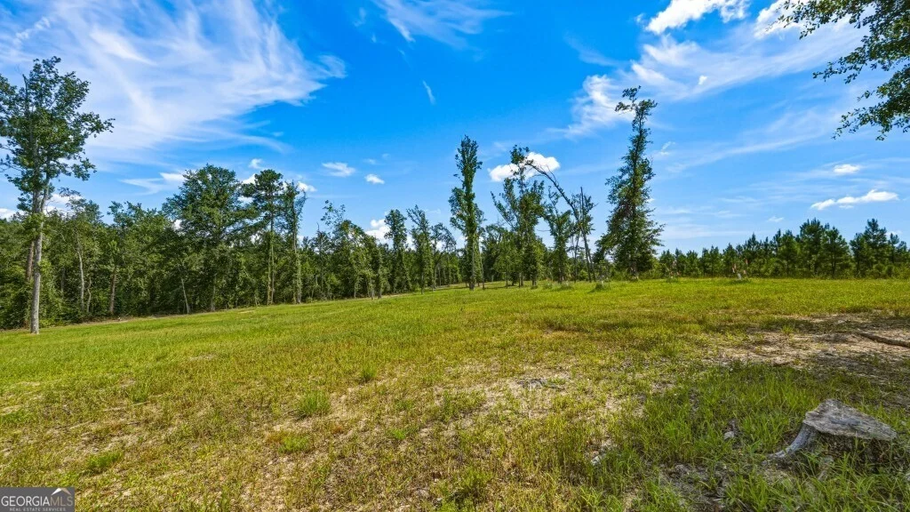 Photo of 1370 Ga Highway 56