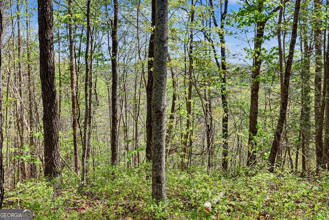 Photo of 0 Roundtop Drive