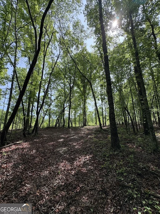 Photo of 0 Roy Dean Road