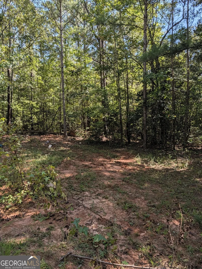 Photo of 0 CHAPPELL MILL Chappell Mill Road