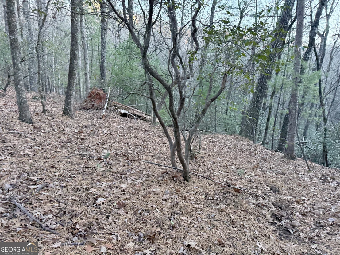 Photo of 0 Timber Bluff Drive