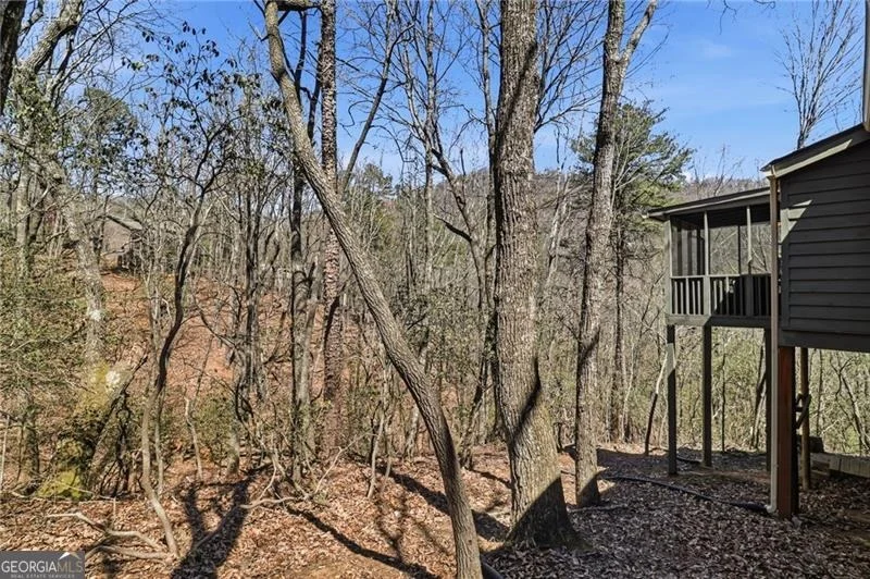 Photo of 484 Owls Brow