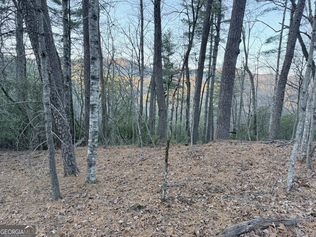 Photo of 0 Timber Bluff Drive