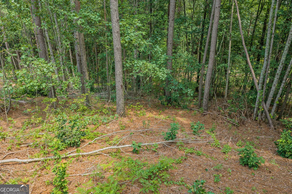 Photo of LOT 63 Lacey Springs Lane