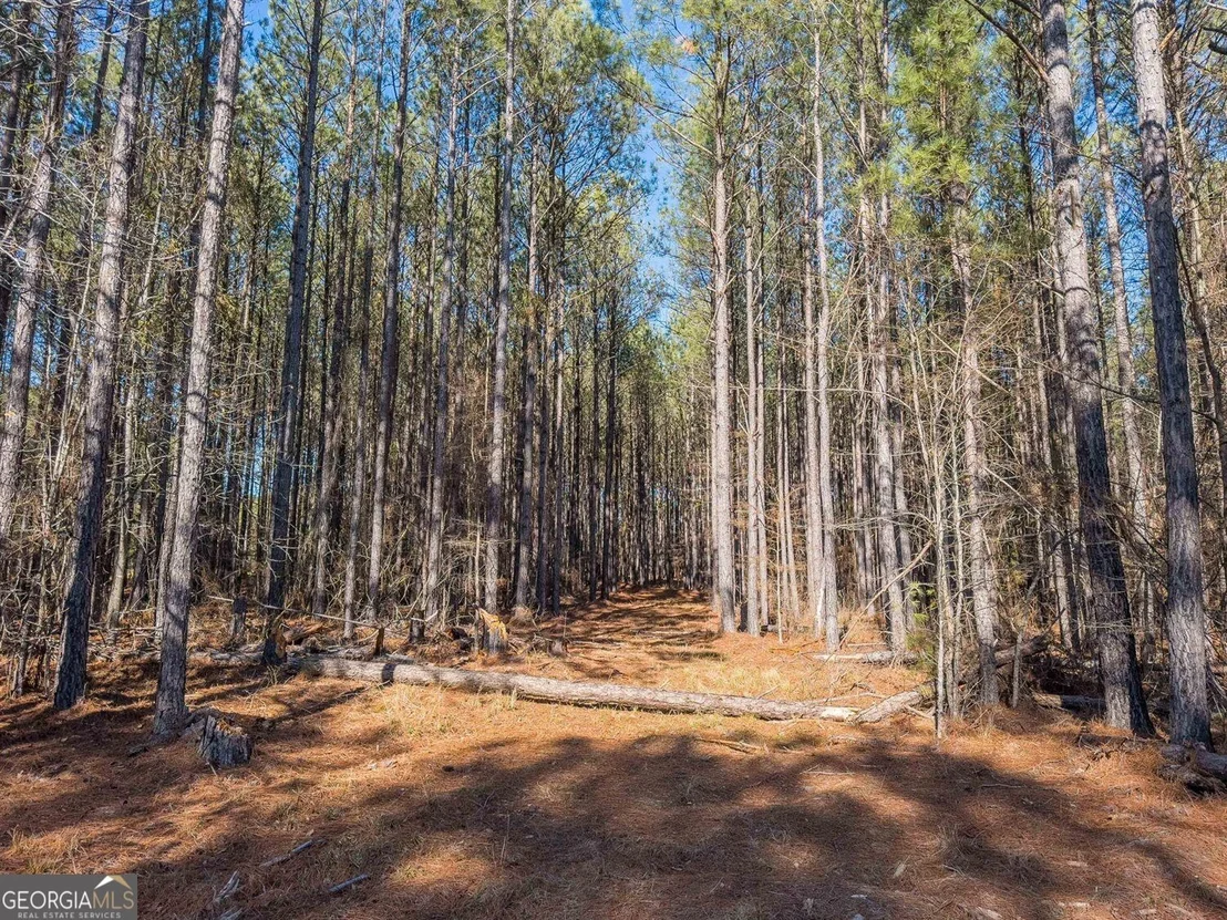 Photo of 1255 Rogers Road