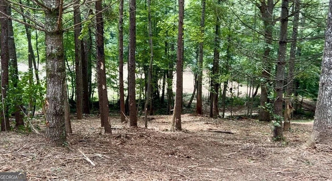 Photo of 10042 Doublehead Gap Road