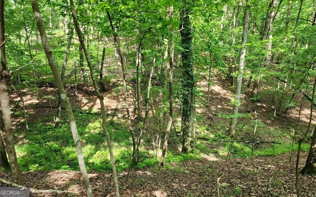 Photo of LOT 838 Oneida Circle