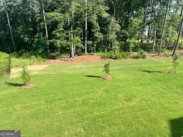 Photo of 1908 Endress Circle