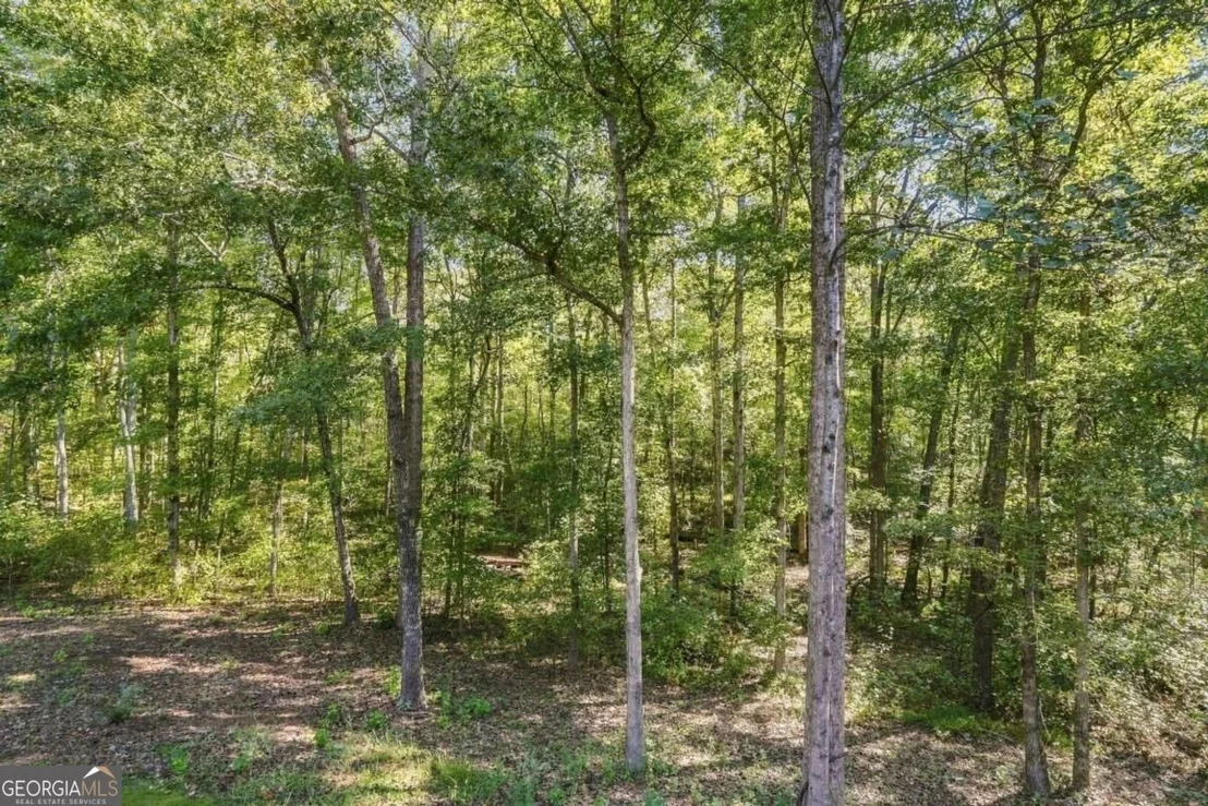 Photo of 106 Shalea Lane