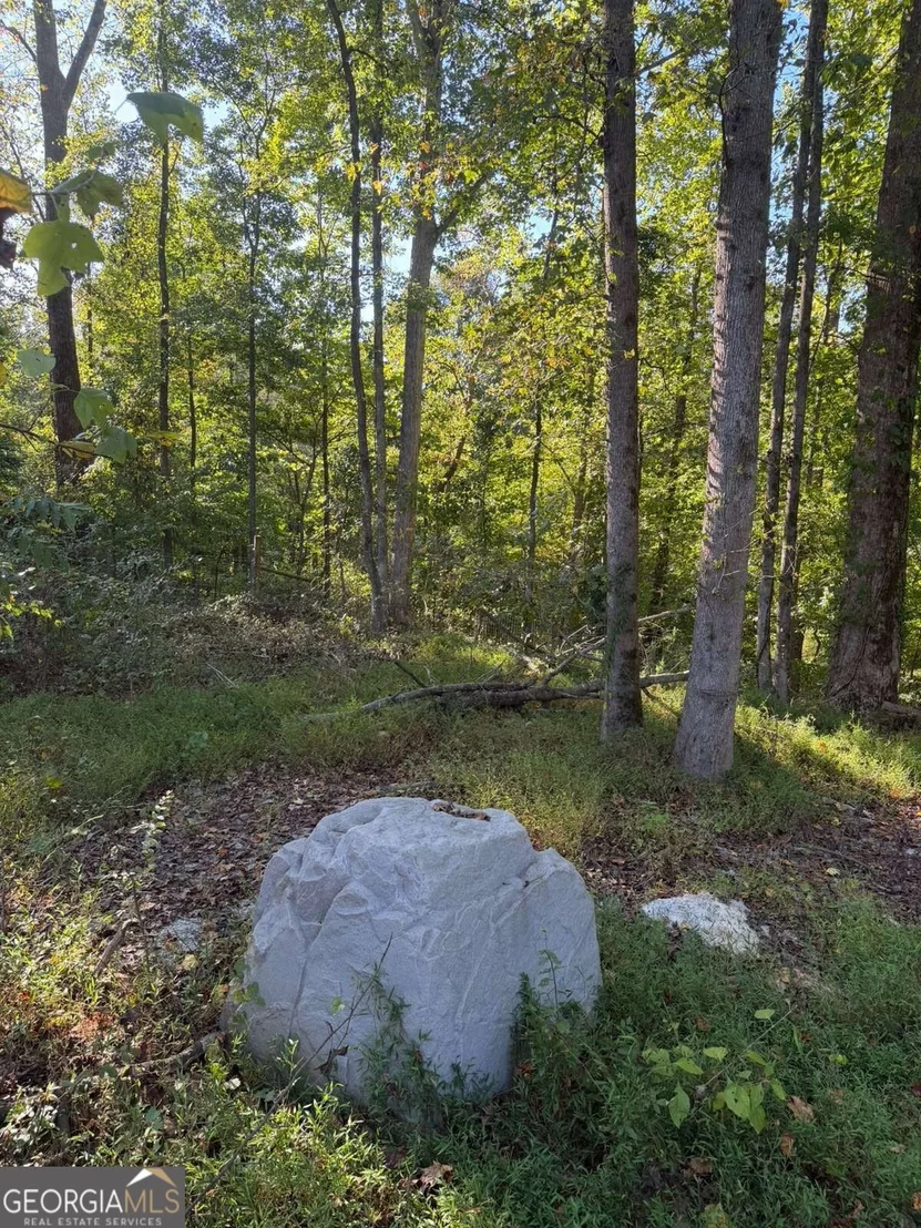 Photo of 92 Ida Pace Road
