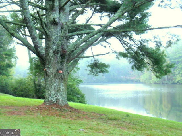 Photo of 6X Laurelwood