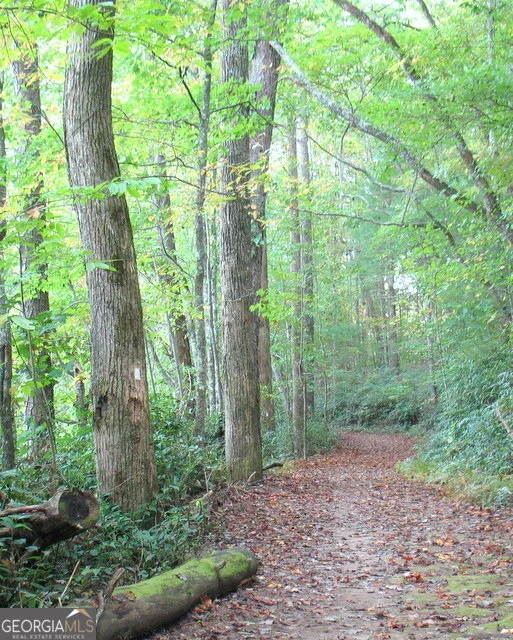 Photo of 6X Laurelwood