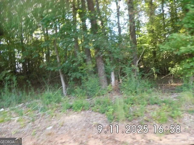 Photo of 8.5 +/- Smith Loop
