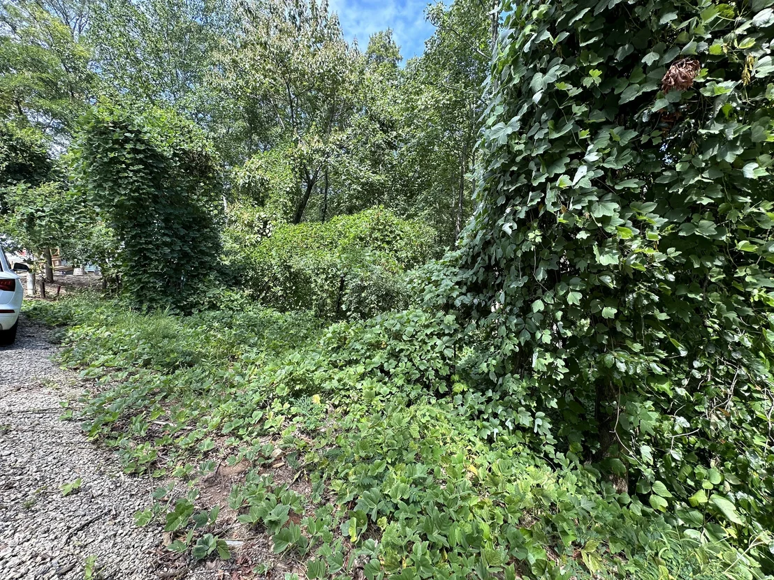 Photo of 0 King Mtn Drive