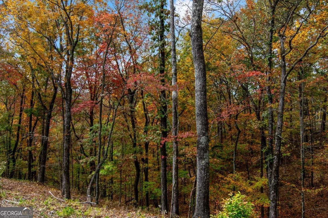 Photo of LOT 269 Canoe Way