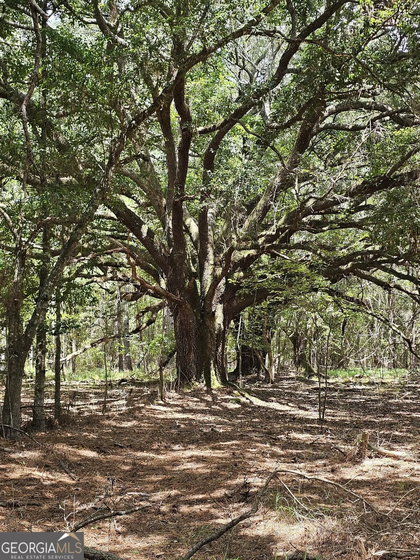Photo of 3047 John Burch Road