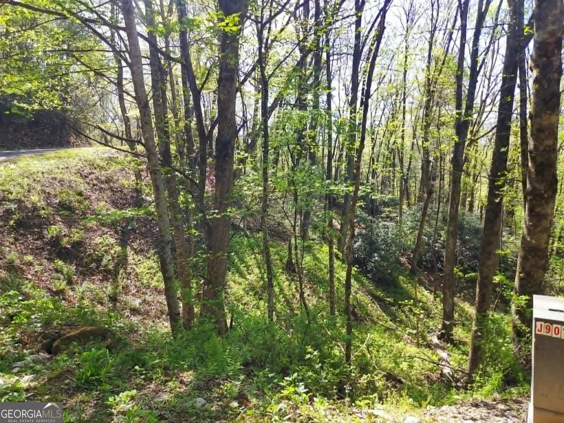 Photo of 0 LOT 40 Pipetrack Gap Road