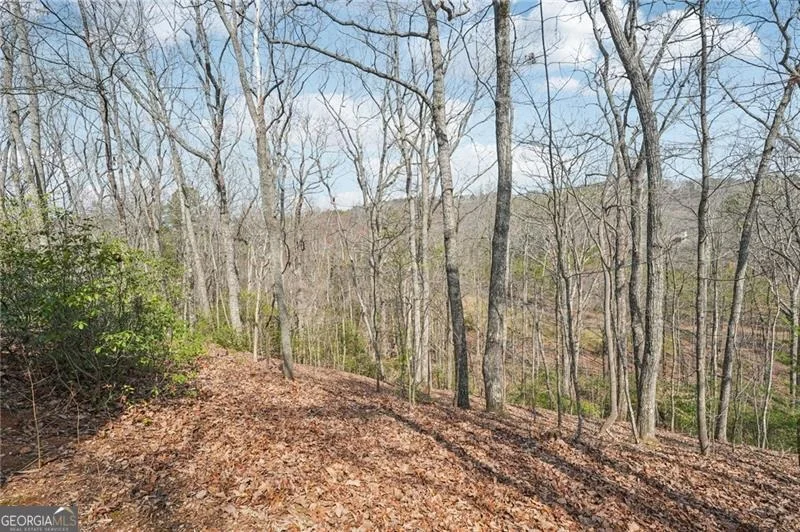 Photo of 29 Red Trillium Ridge