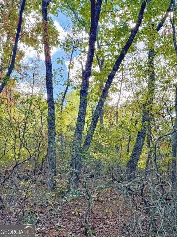 Photo of 0 Fox Mountain Road