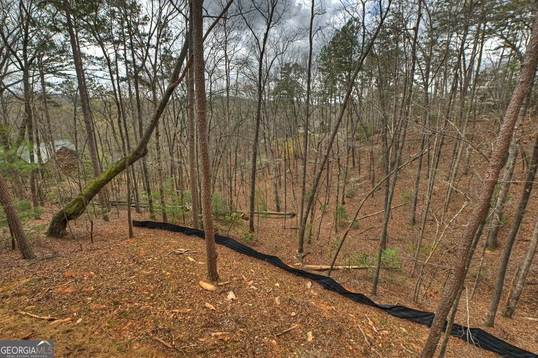 Photo of 962 Maggie Chapman Road