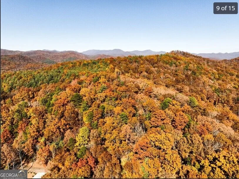 Photo of LOTS 12 &14 Crows Nest