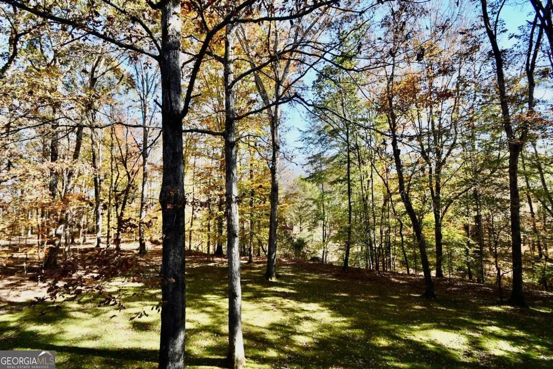 Photo of 218 Thornhill Drive