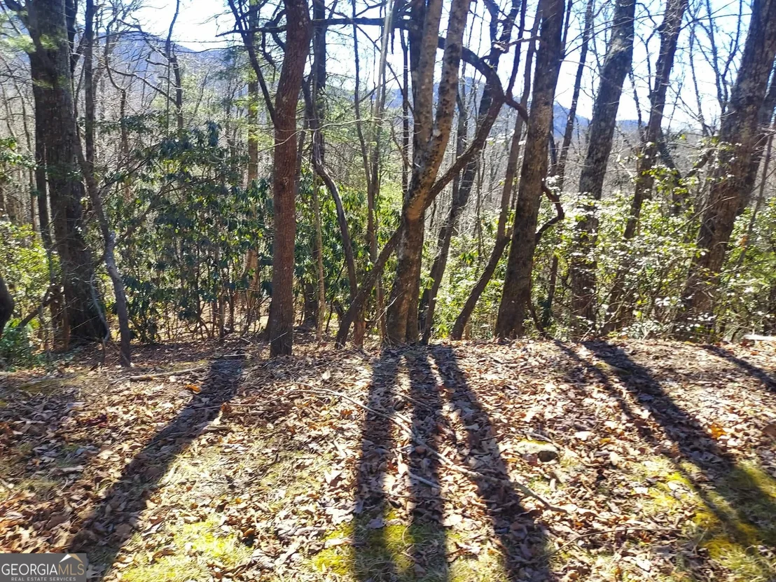 Photo of 0 LOT 41 Pipetrack Gap Road