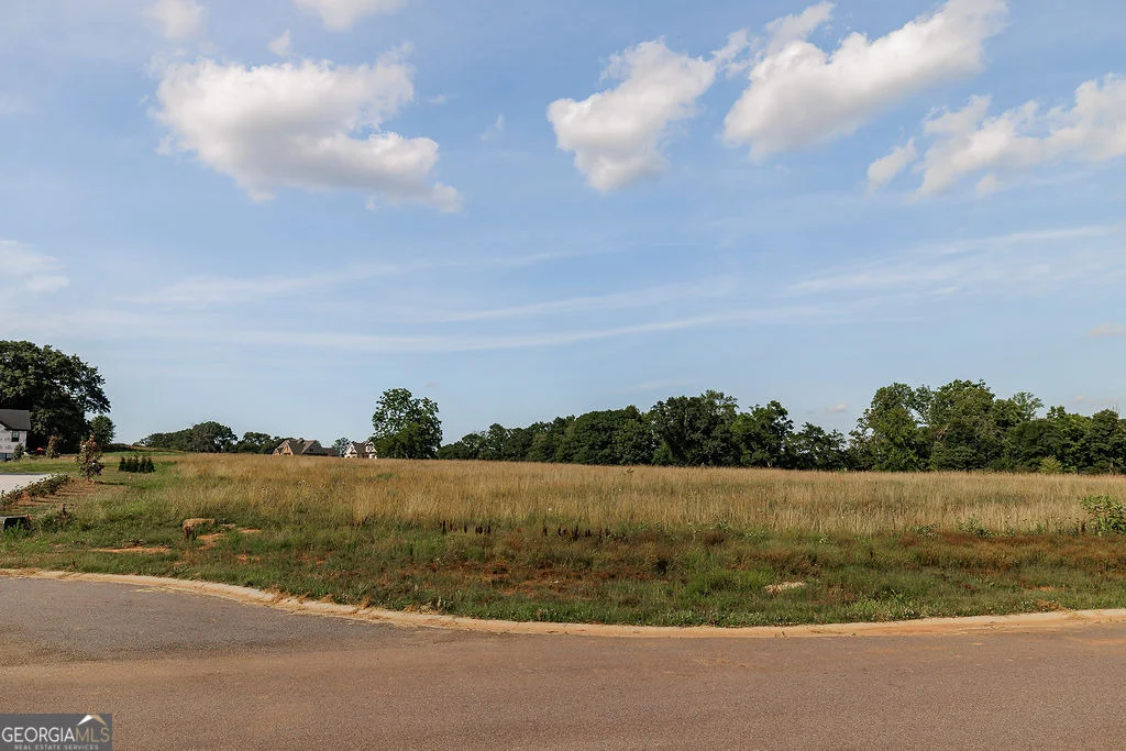 Photo of Unit LOT67 at 1224 Malcom Estates Point
