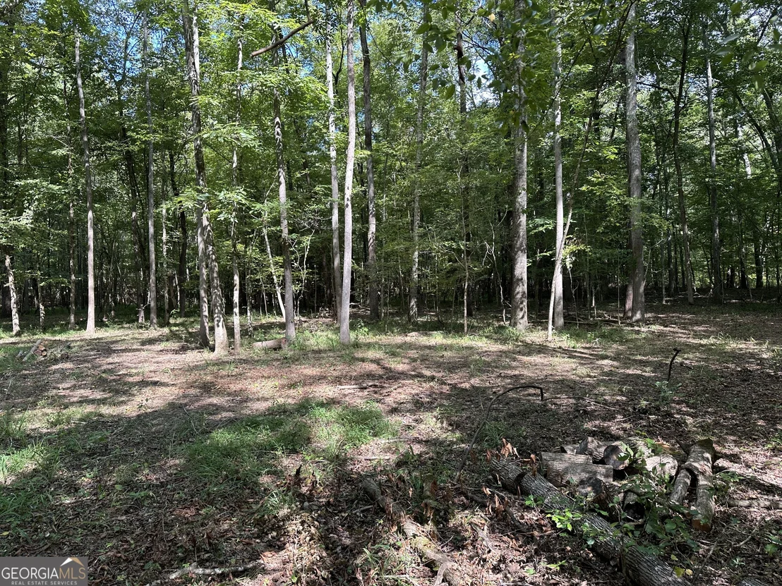 Photo of 119 Hough Johnson Road