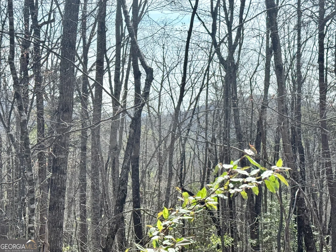 Photo of 0 Roundtop Drive