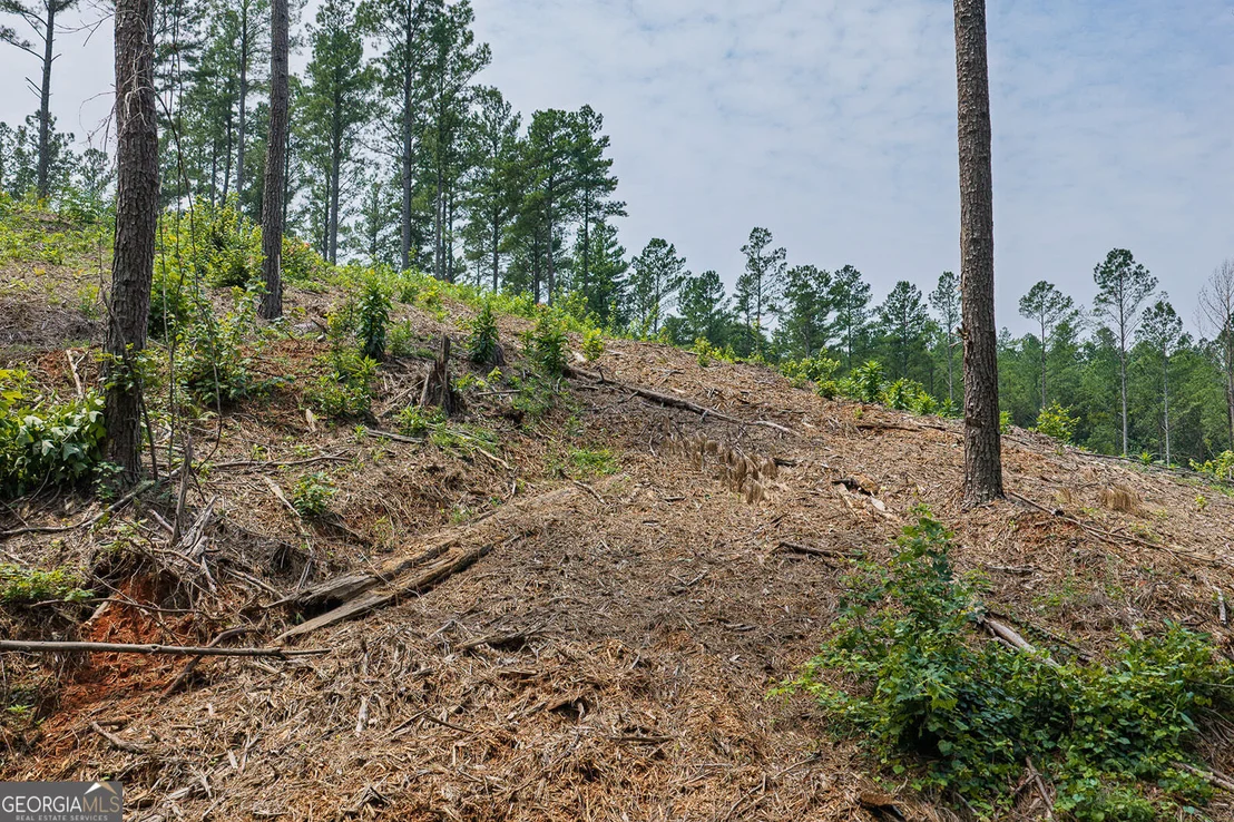 Photo of LOT 63 Lacey Springs Lane