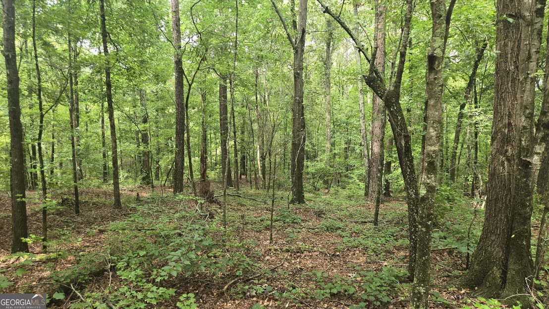 Photo of 3065 Smokey Road