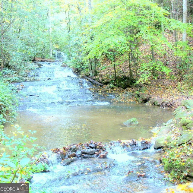 Photo of 6X Laurelwood