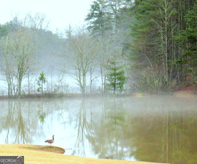 Photo of 6X Laurelwood