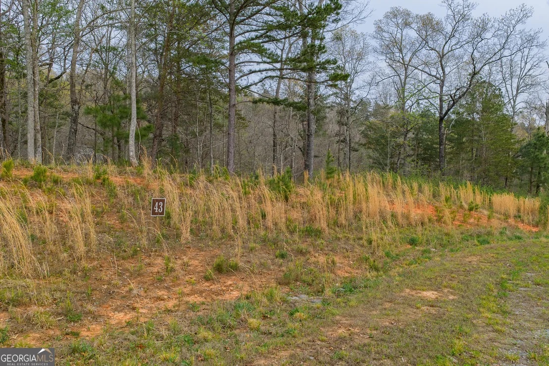 Photo of LOT 43 Bucktail Way