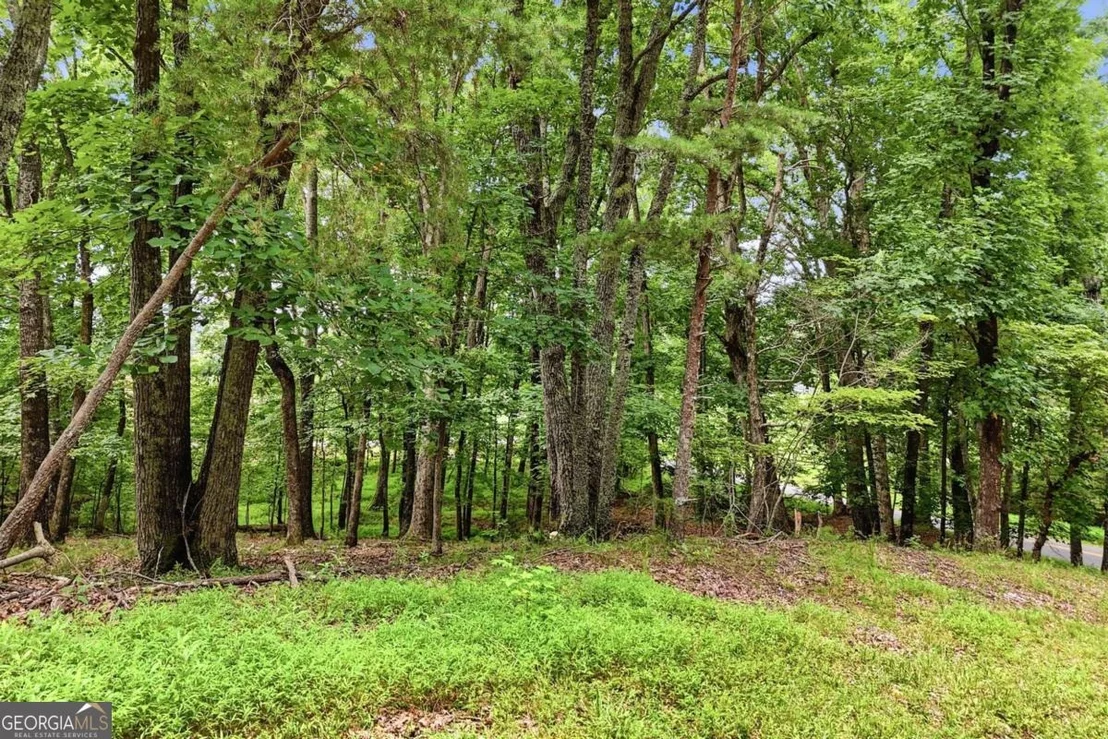 Photo of 35 Quail Walk