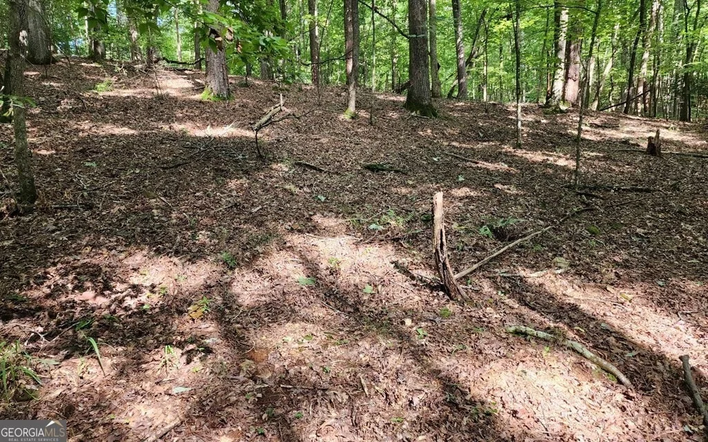 Photo of LOT 838 Oneida Circle