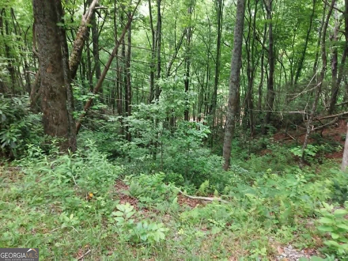 Photo of 0 LOT 37 Saddleback Circle