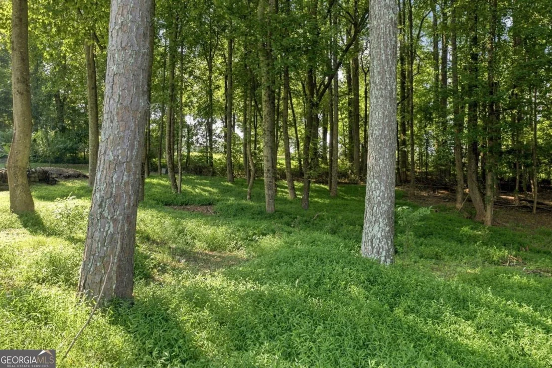 Photo of 4113 Arbor Chase Road