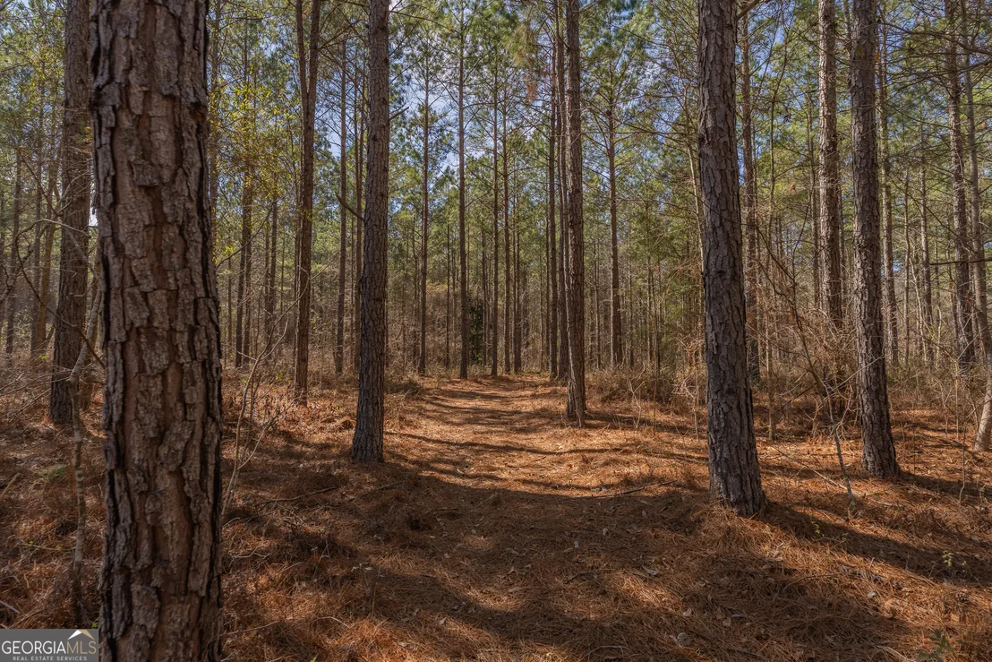Photo of LOT 7 Golf Course Road