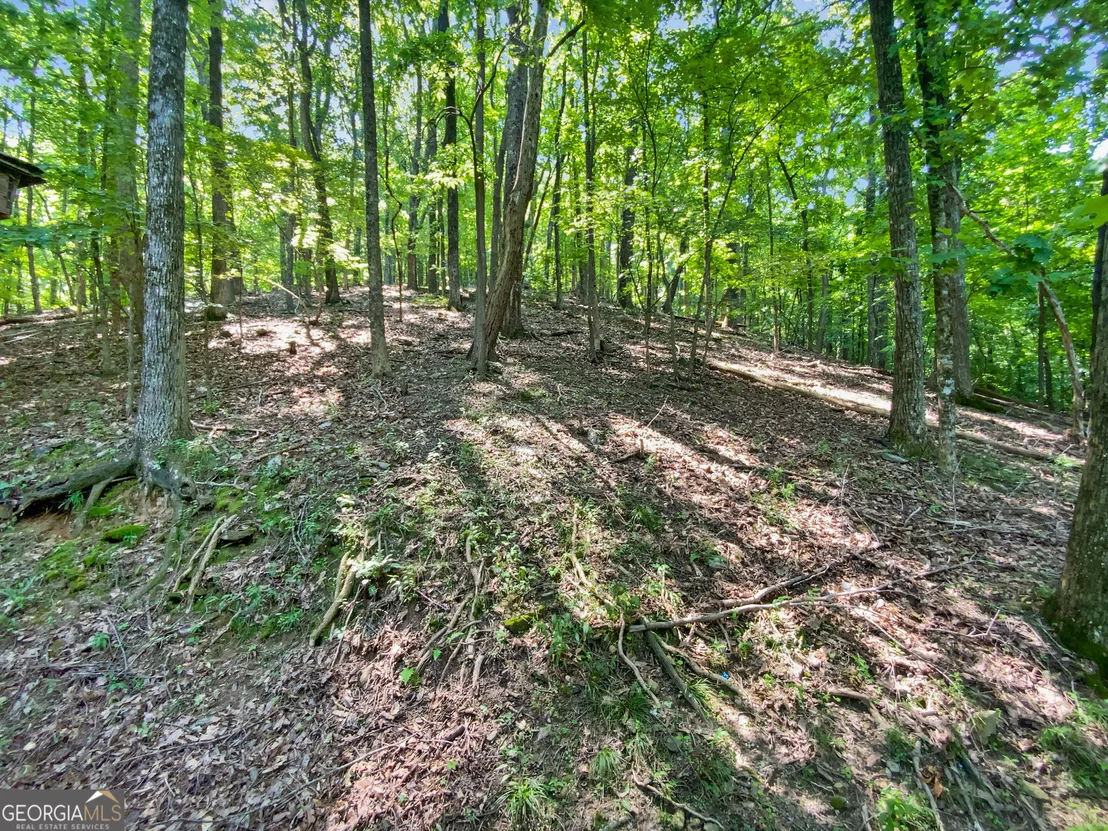 Photo of 764 Chestnut Cove Trail