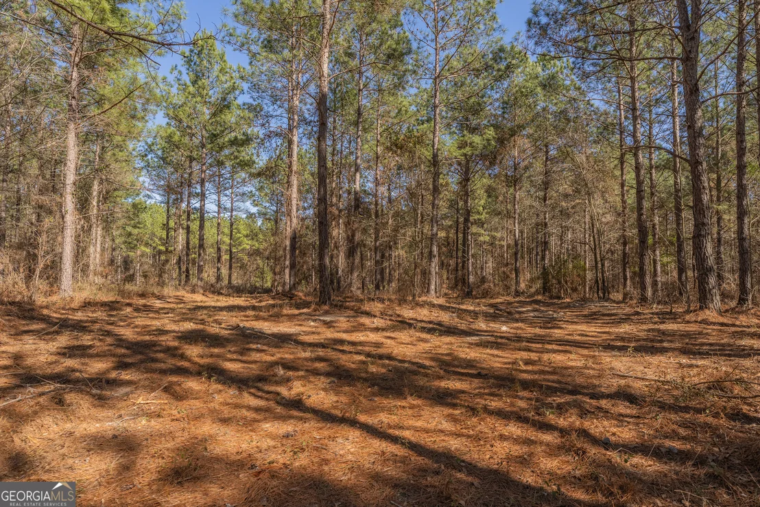 Photo of LOT 7 Golf Course Road