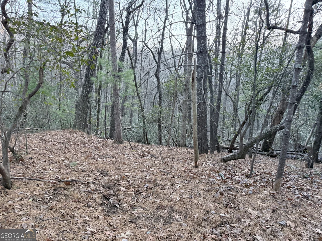 Photo of 0 Timber Bluff Drive
