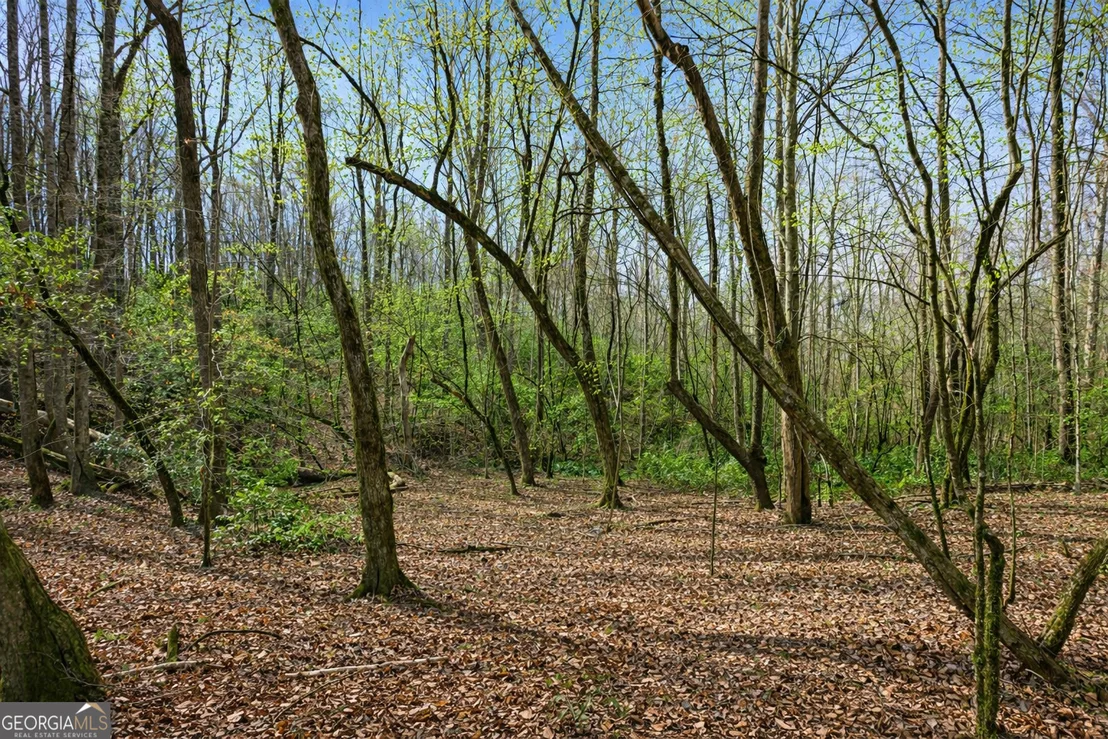 Photo of Unit LOT3 at 2325 Stonepile Road
