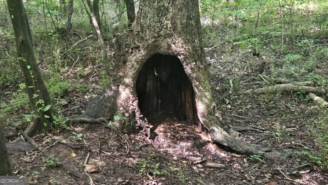 Photo of 3065 Smokey Road