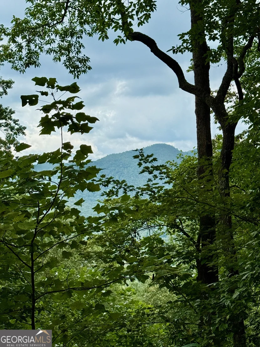 Photo of LOT 6 Raven Fork Trail