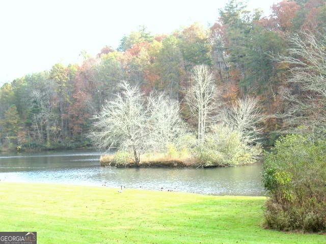 Photo of 6X Laurelwood