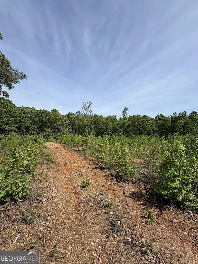 Photo of 0 Roy Dean Road